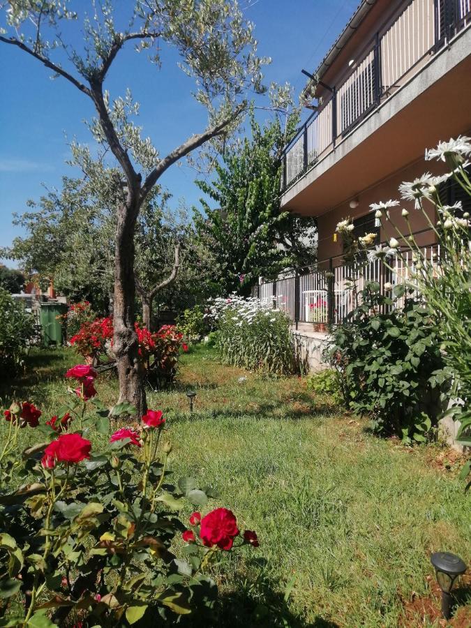 Apartment Vera, 80 M From The Sea Novigrad Istria Exteriör bild